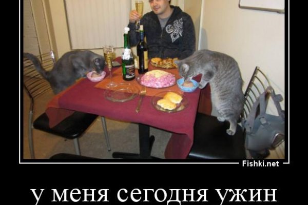 Ссылка кракен зеркало тор